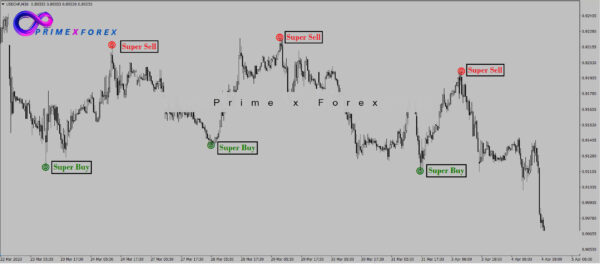 Pip Finite System - Image 2