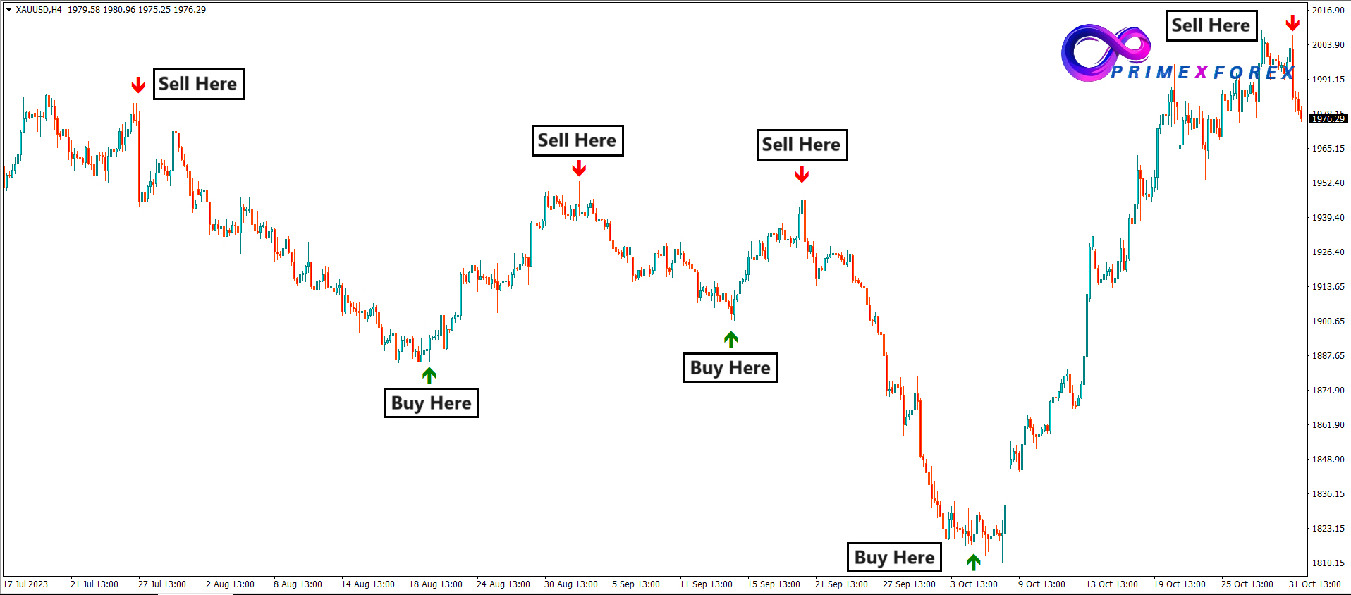 Seals Of Primex - Image 2