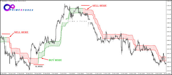 Am Trend - Image 2