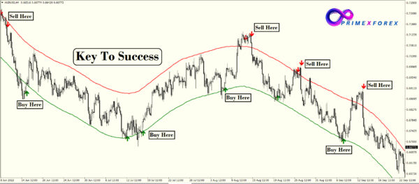 Daily pips Hunter - Image 2