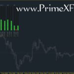Prime High-Low Volume - Image 2