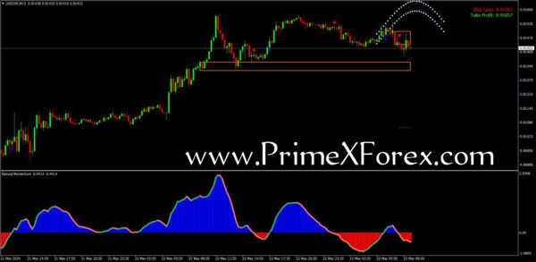Prime Seoul-X - Image 2