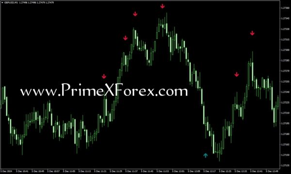 Prime Amazing Arrows-X - Image 2