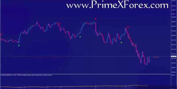 Prime Plus