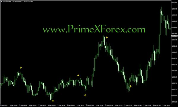 Prime Diego Arrows - Image 2