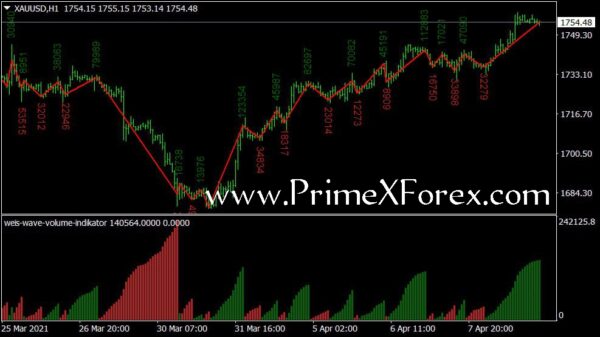 Prime Volume Counter-X - Image 2